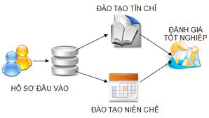 Cách vượt qua " tín chỉ " cho sinh viên