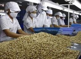 Xuất khẩu sang Mỹ Doanh Nghiệp cần làm gì ?