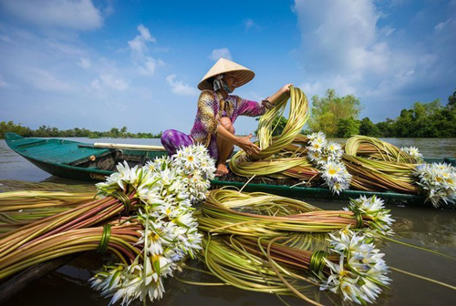 Những bức ảnh Việt nam hút hồn du khách 2015